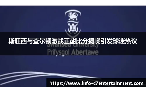 斯旺西与查尔顿激战正酣比分揭晓引发球迷热议