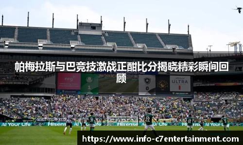 c7娱乐公司