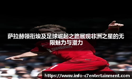 c7娱乐公司