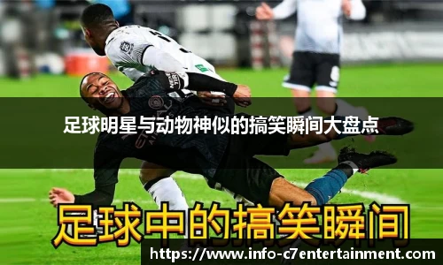 c7娱乐官方网站